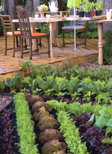 Edible Garden 2