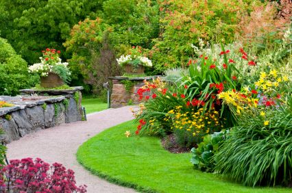 Landscaping ideas