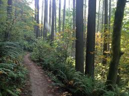 Wildwood Trail